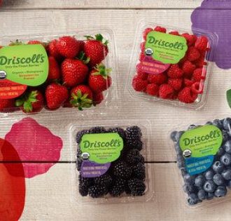 Punnets & Trays